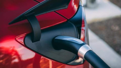 Tesla Shanghai plant phase II project passes phase review, Model Y production expected early next year