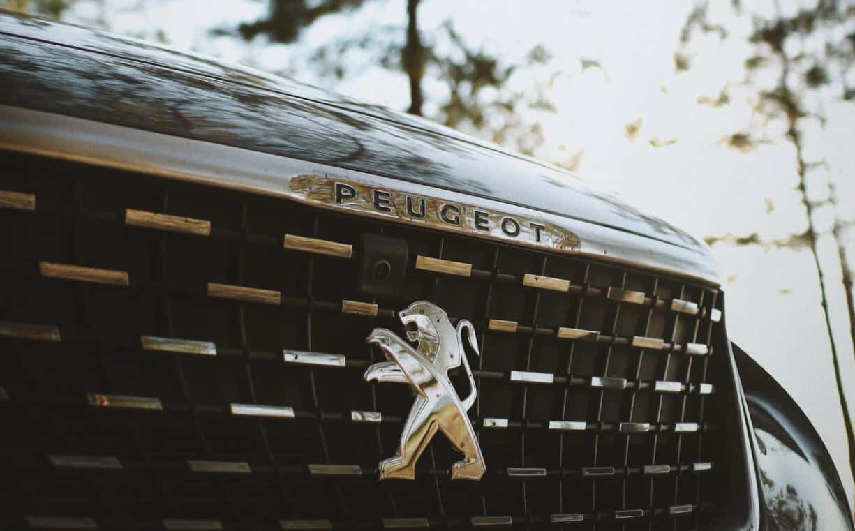 PSA CEO says demand for EVs will collapse if subsidies ebb