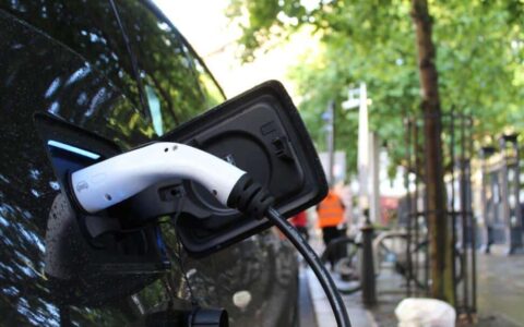 China's February NEV sales up 584.7% year-on-year