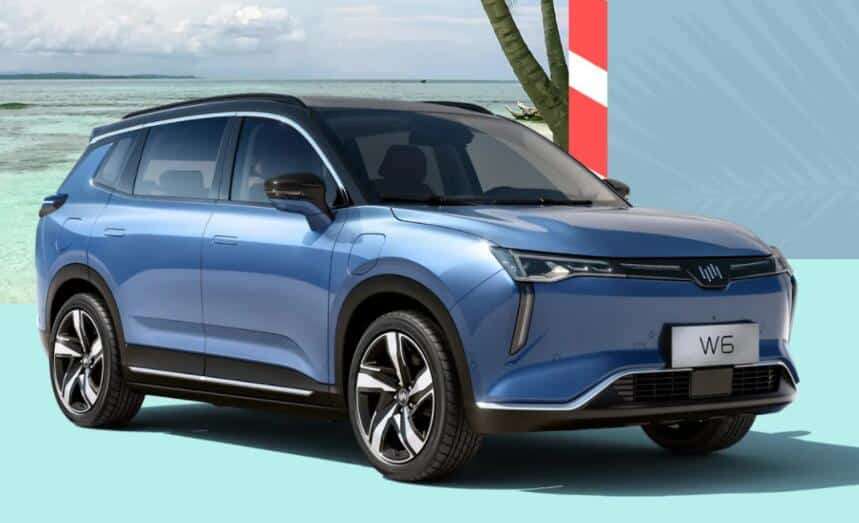 WM Motor, once seen as one of the most promising EV makers in China, lags behind its local peers