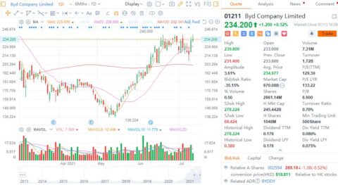 Citi raises BYD price target, says its P/S ratio should reach Nio's level