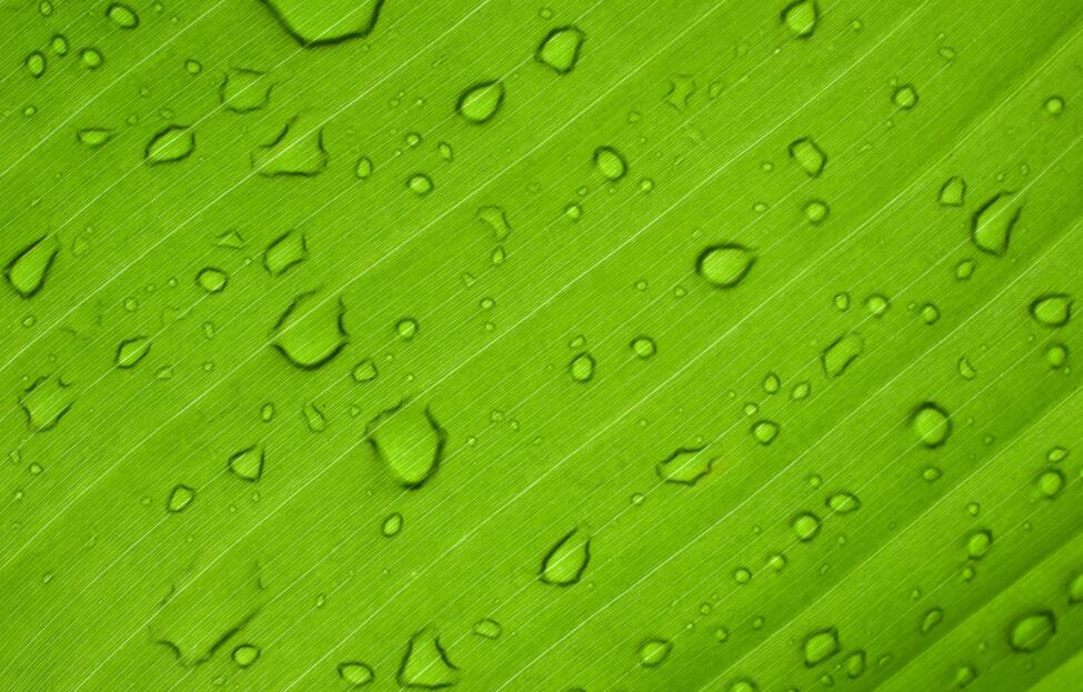 China's hydrogen production increased by 25% year-over-year in H1