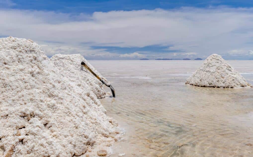 Commodity price hikes, power crunch have more serious impact on automakers than chip shortages, GAC Aion exec says