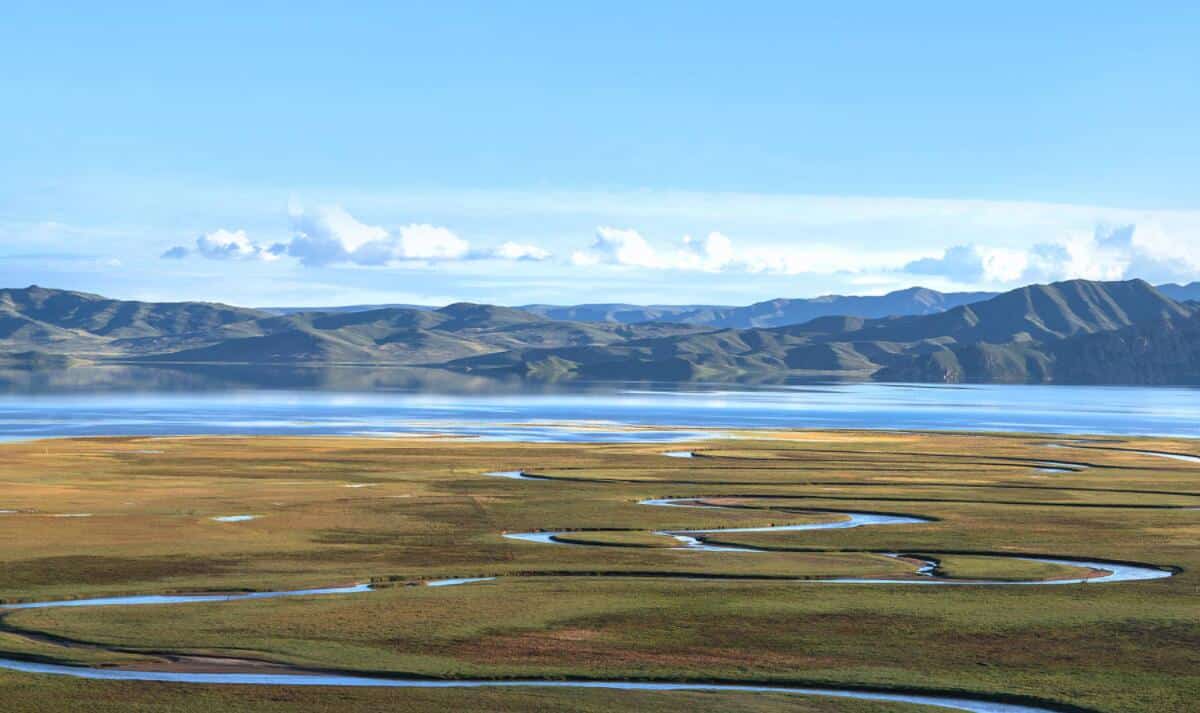 Nio offers support for construction of national park in China