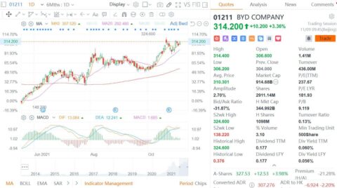 BYD closes private placement of additional shares in Hong Kong, securing .77 billion in funding