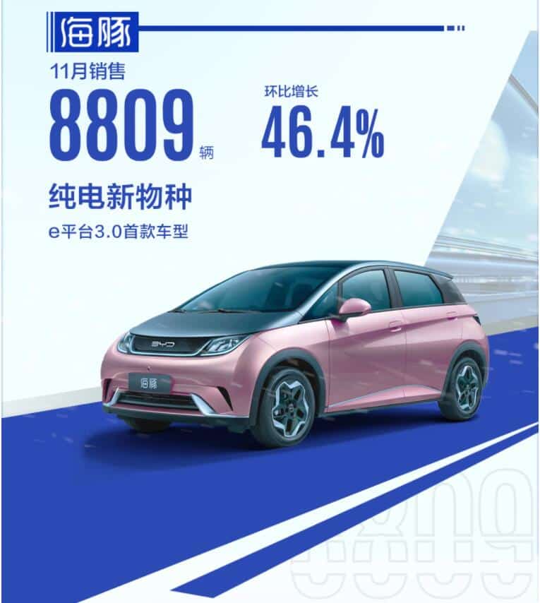 BYD Dolphin model sold 8,809 units in Nov, up 46% from Oct