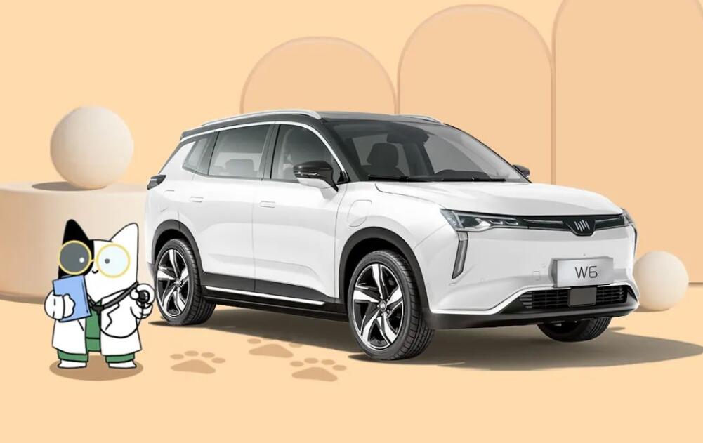 WM Motor raises prices further by up to ,090