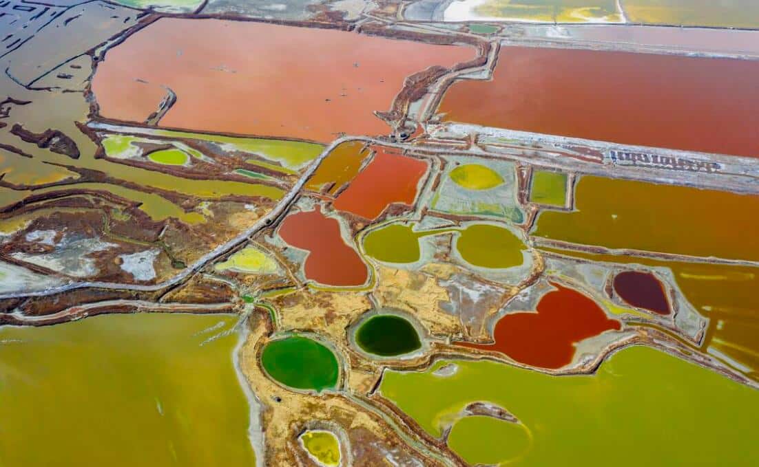 Nio opens new line under Power Up Plan, first in past two months