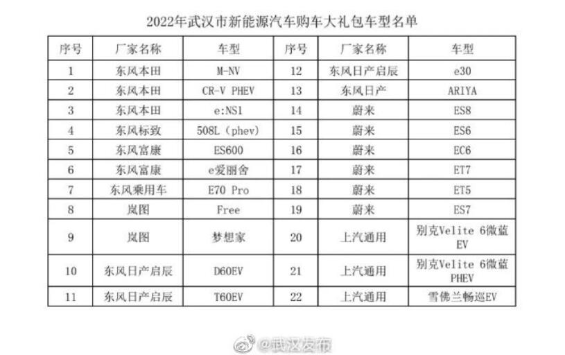 Central China's Wuhan becomes latest city to boost NEV consumption