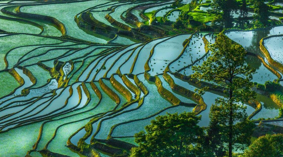 Nio's battery swap network covers major highway from Beijing to Kunming