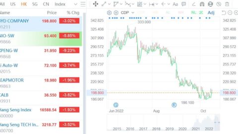 BlackRock reduces holdings in BYD H shares