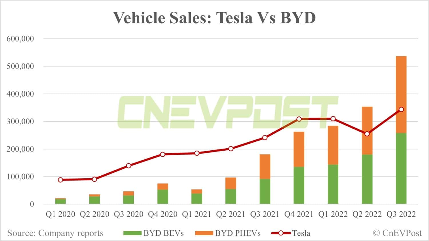 Tesla's only challenger is BYD, says US EV maker's former board member