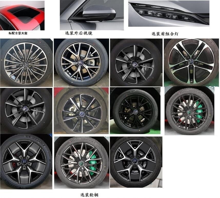 BYD's flagship Han EV set to have new variant ready for post-subsidy era