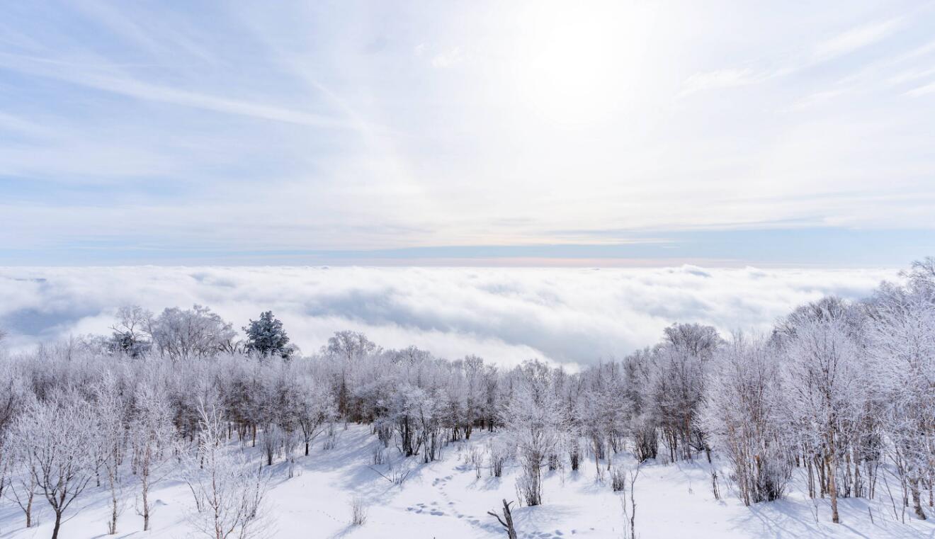 Nio's supercharging network completes initial coverage of highways in Jilin, northeast China