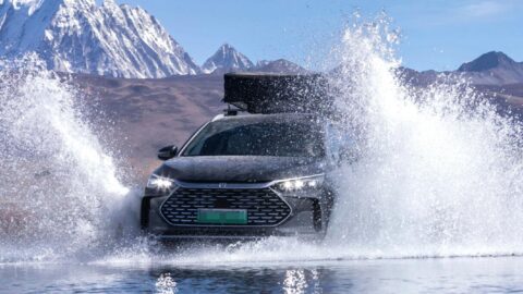 BYD becomes 3rd largest shareholder of local lithium supplier