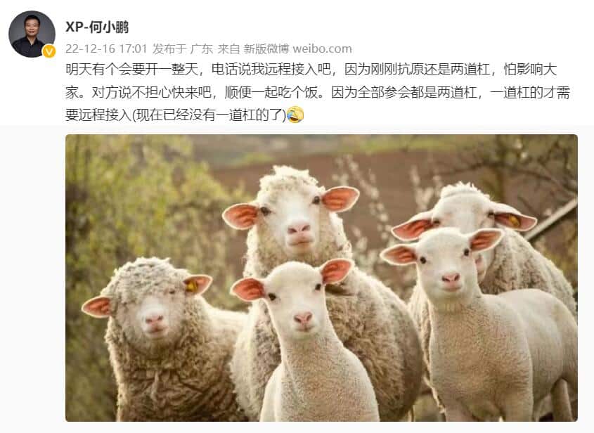 Xpeng and Li Auto CEOs both test positive for Covid