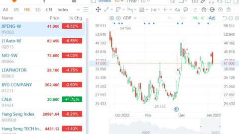 Xpeng most vulnerable to Tesla price cut among Chinese EV trio