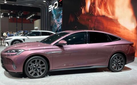 BYD in talks with Brazilian lithium producer over supply deal