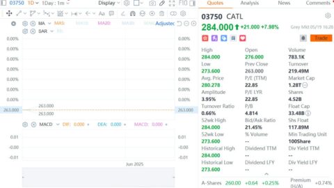 CATL gains in HK gray market trading ahead of official listing
