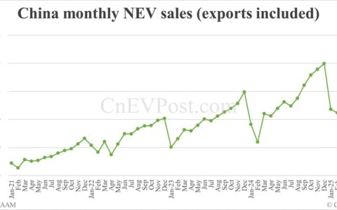 China NEV sales hit year-to-date high in May, exports set new record