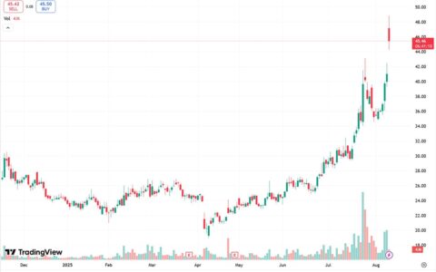 CATL confirms production halt at Yichun lithium mine, sending lithium producers' shares soaring