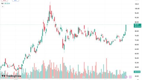 Xpeng shares surge in Hong Kong as extended-range X9 set for Q4 launch