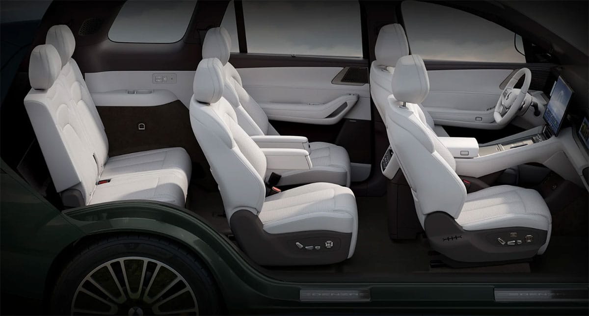 BYD Denza launches N8L 6-seat SUV in latest push in China's premium market