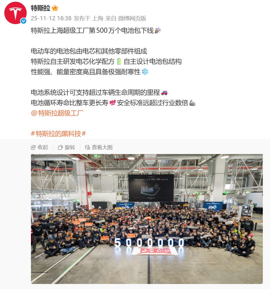 Tesla Shanghai plant sees 5 millionth battery pack roll off line