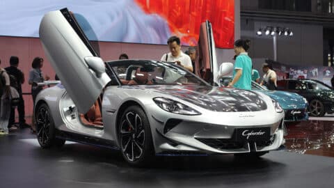 China NEV retail at 265,000 in Nov 1-9, down 5% year-on-year